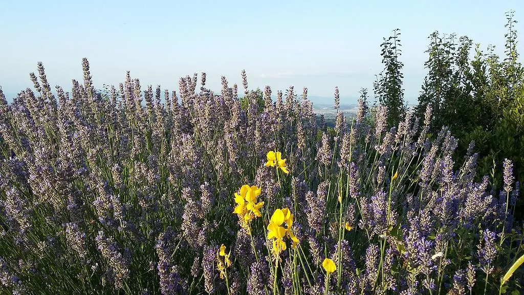 Séjour à la ferme Villa Frateria Di San Benedetto à Montepulciano Stazione