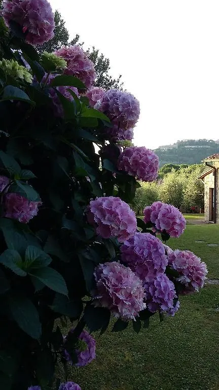 Frateria Di San Benedetto Villa Montepulciano Stazione Vakantieboerderij